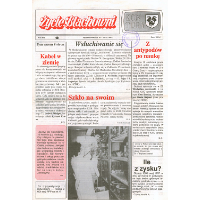 Show publication content!