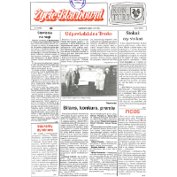 Show publication content!