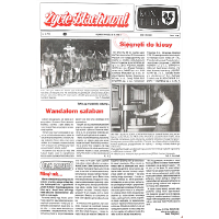 Show publication content!