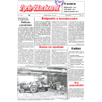 Show publication content!